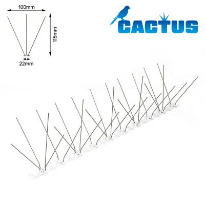 Cactus P100 - 12,5m