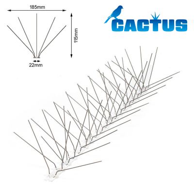 Cactus P185  - 12,5m