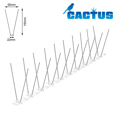Cactus P50 - 15m