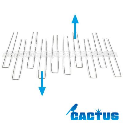 Cactus S120 - 0,5m