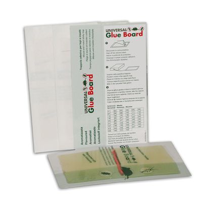 Universal Board - Tabla Adhesiva para Ratones - 140