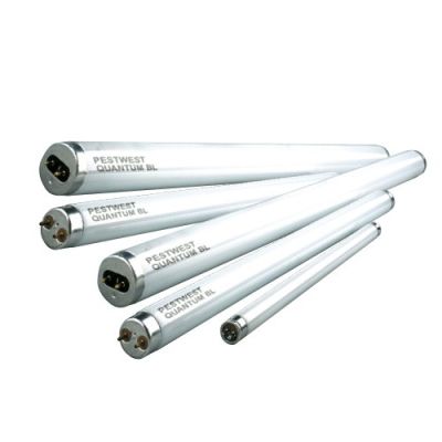 Tubos Rectos Luz Ultravioleta UVA Quantum® de PesWest