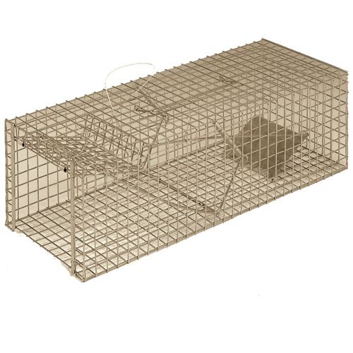 KC76 - Trampa para Gatos - 1