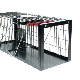 Eeziset - Trampa para gatos - 1