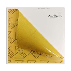 Tabla Adhesiva gama Sunburst® - 3 tablas