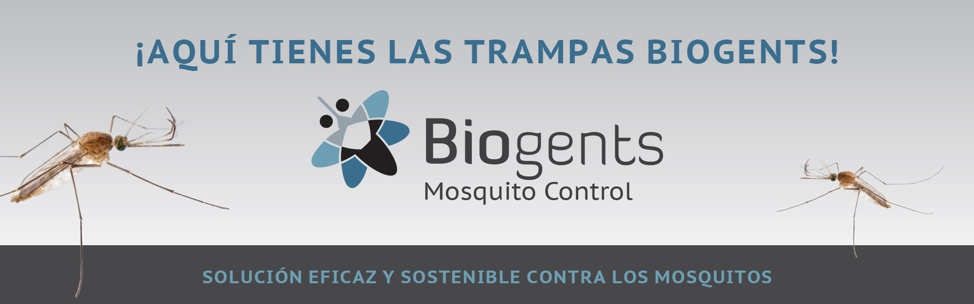 Control de Mosquitos